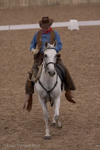 Lusitano Breed Society of Great Britain Show - Hartpury College - 27th June 2009